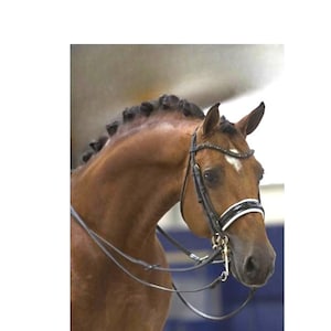 Premium Sheepskin Padded Bridle | Soft Leather Horse Bridle with Fur Noseband & Crown | Dressage  Show Bridle | Handmade Horse Tack