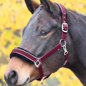 Premium Padded Horse Halter Adjustable Nylon Halter for Horses Ponies –Comfortable & Durable –Maroon Color – Handmade in Pakistan