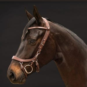 Bridon fait main en cuir marron sans mors : équitation naturelle