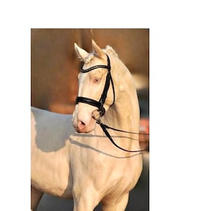 Black Leather Horse Bridle | Crystal Browband Dressage Bridle | Show Bridle with Reins | Adjustable Handmade Equestrian Tack