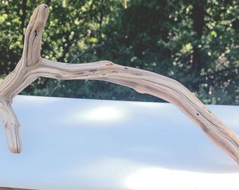 Rare Manzanita Branch: Natural Aquarium, Reptile, Bird Perch Decor (21x10x8)
