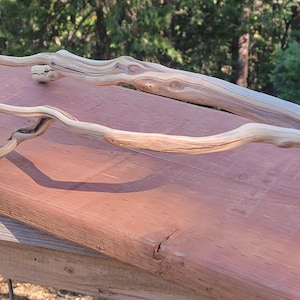 Ramo di Manzanita, legno per acquascape, habitat per rettili e decorazioni rustiche