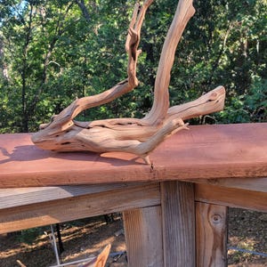 Ramo scultoreo di legno di Manzanita galleggiante: decorazione per acquario e rettili da 25&quot;
