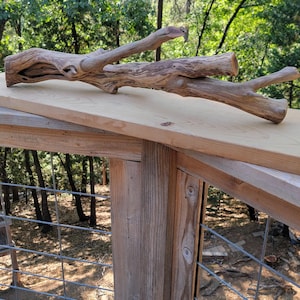Large Manzanita Driftwood 38x12x11 Natural Wood Sculpture Reptile Climbing Branch Aquarium Centerpiece 12lb