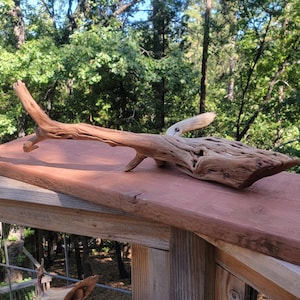 Rare Manzanita Driftwood Branch – Naturally Weathered, Unique Aquarium, Reptile, or Home Décor Piece