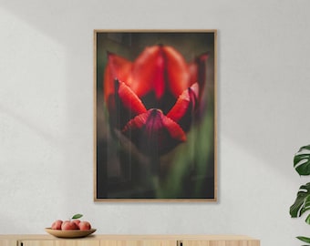 Dark Floral Print – Moody Tulip Wall Art, Red Flower Photography – No. 1 (Digital Download)