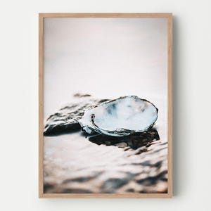 Seashell Print – Minimalist Coastal Wall Art – Neutral Decor – No. 3 (Digital Download)