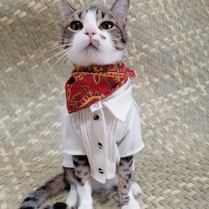 Mexican Dog Shirts/Mexican Guayabera for Dogs and Cats/Summer Guayaberas for Dogs/Mexican Guayaberas/Guayaberas for Dogs or Cats