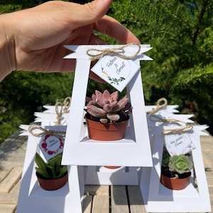 bomboniera matrimonio, bomboniera comunione, bomboniera cresima, bomboniere piantabili per gli ospiti dei neonati, bomboniera battesimo