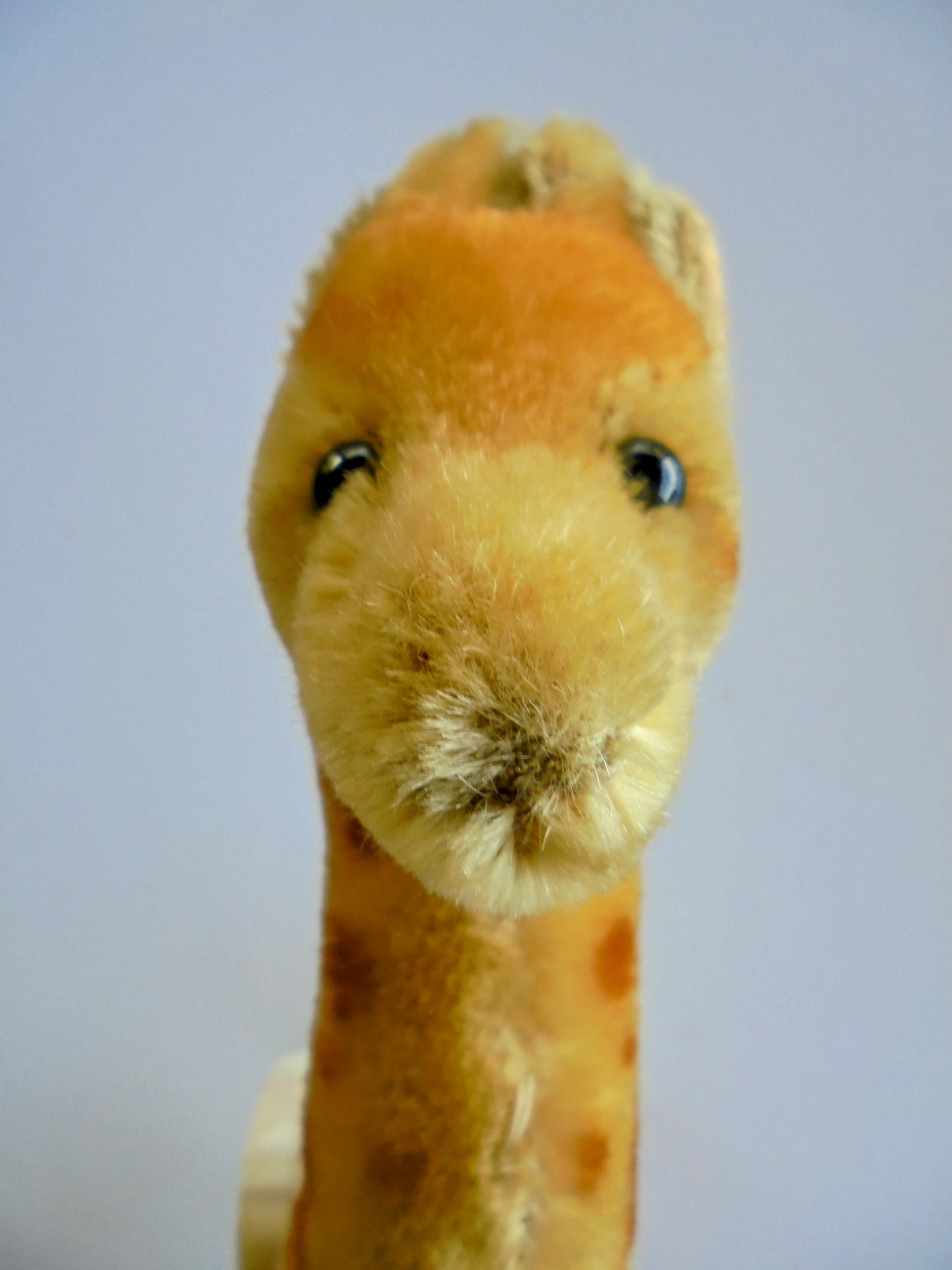 シュタイフ ヴィンテージ モヘア キリン タグなし - Etsy 日本