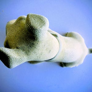 Pode incluir: Uma estatueta de c&atilde;o texturizada de cor clara, deitada de costas com as patas no ar. O c&atilde;o tem uma cauda pequena e uma coleira. O fundo &eacute; azul claro s&oacute;lido.