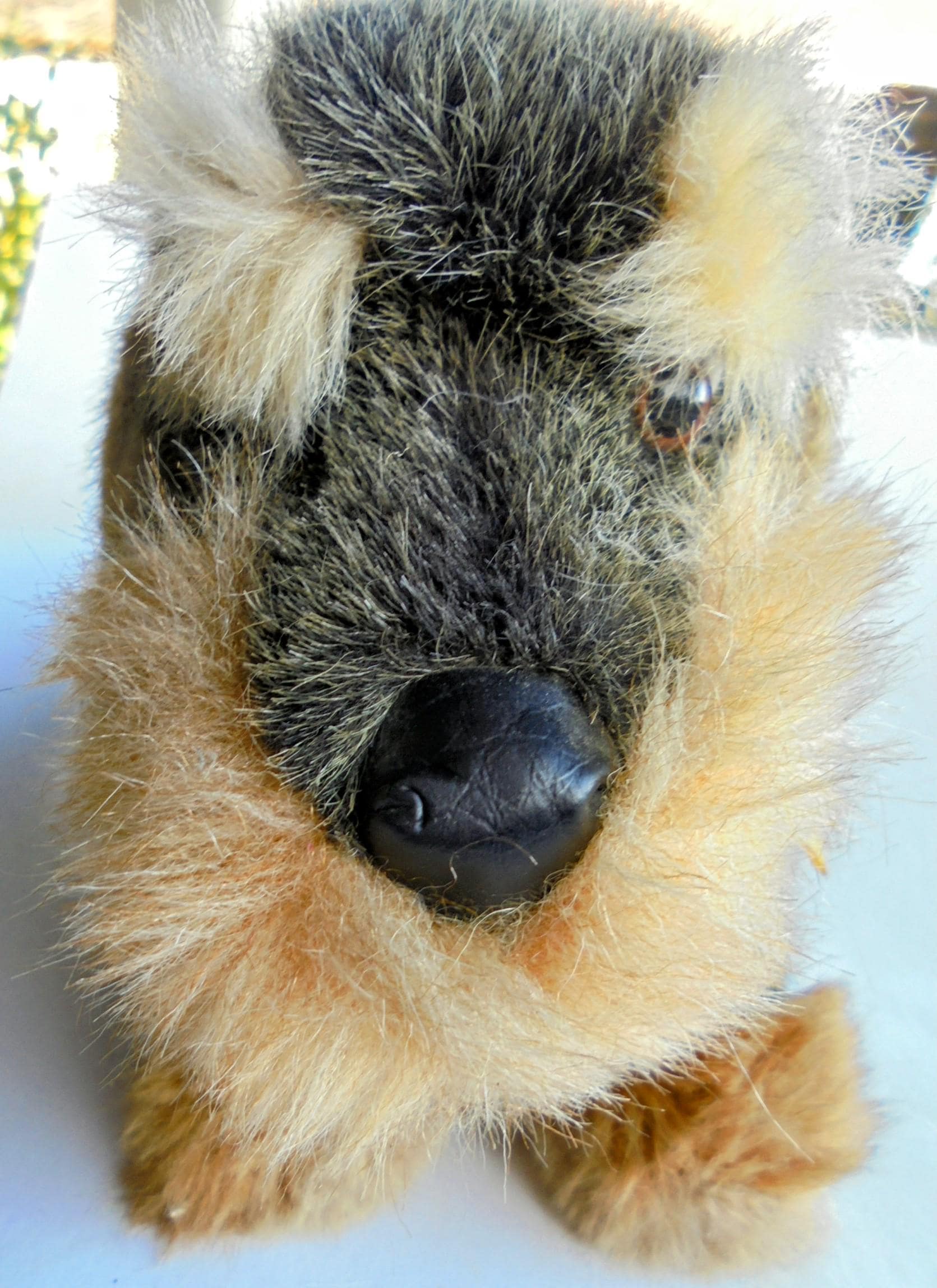Steiff Vintage Raudi Rowdy Dachshund Dog Stuffed Toy 4151/25 With