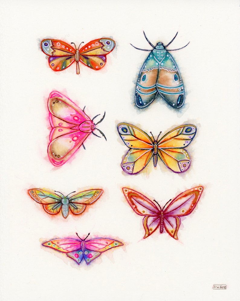 8x10 Original Butterfly Watercolor Painting