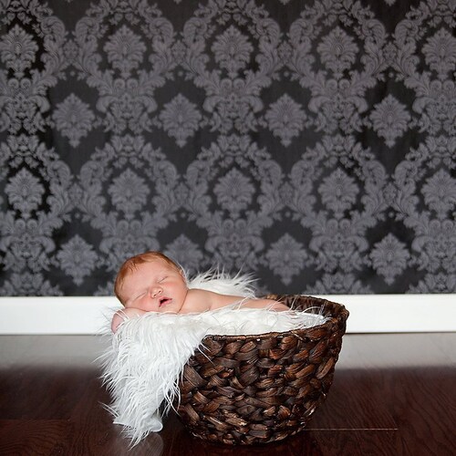 Newborn Posing Bag the Newborn Poser Bean Bag Shaped Photo Etsy