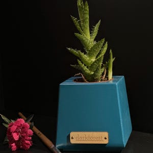 Mini maceta de madera hecha a mano / Maceta para suculentas color verde azulado / Soporte pequeño de madera para plantas de DarkForest