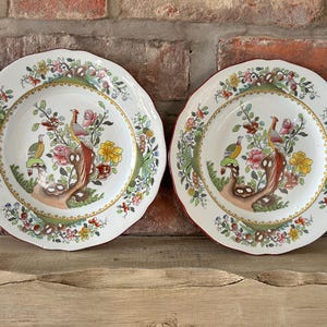 May include: Two white ceramic plates with scalloped edges. Each plate features a central design of colorful birds, flowers, and foliage. The rims have a red border and a decorative gold trim. The plates are set against a brick background.
