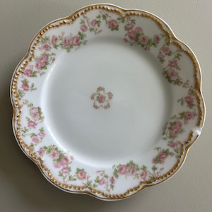 Haviland china 1890 - Etsy 日本