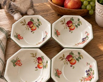 Vintage Johnson Brothers set of 6  Desert Dishes English Porcelain Mugs. Botanical Fruit 1991