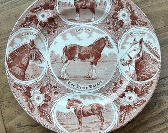 Vintage Equestrian commemorative shire horse official collectible, display cabinet plate Weatherby & Sons Hanley England