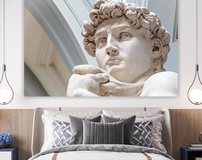 David Museum Canvas Print: Classical Art Reproduction, Ready to Hang or Rolled