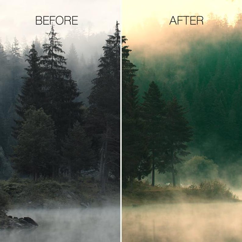 May include: A split image showing a before and after photo of a forest scene. The left side, labelled "BEFORE", depicts a dark, misty forest. The right side, labelled "AFTER", shows the same forest with enhanced colours and lighting, creating a more vibrant and appealing image.