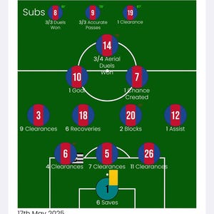 CRYSTAL PALACE FA Cup Football Art
