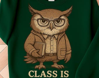 Class Is Canceled Sweatshirt , Funny Owl Professor Pullover, Cute Academic Owl Graphic Sweater, Unisex Cozy Crewneck, Teacher Christmas Gift