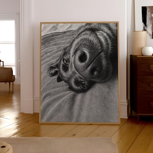 May include: Monochrome framed print featuring a black dog. The dog is seen from a close-up angle, with its nose and eyes prominent. It rests on a grey blanket. The frame is a light brown colour.