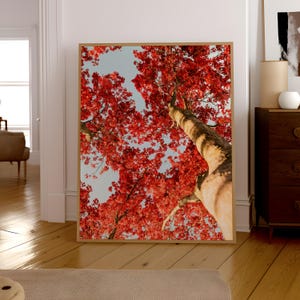 Vibrant Red Maple Print – Japanese Maple Wall Art, Autumn Foliage Poster, Digital Download
