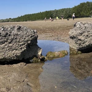May include: A sunny outdoor scene featuring two large, weathered concrete blocks framing a small pool of water. The ground is dry and cracked, with people and trees in the background under a clear blue sky. The scene evokes a sense of nature and open space.