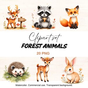 Watercolor Forest Animals Clipart: Woodland Nursery Decor (PNG Files, Digital Download)