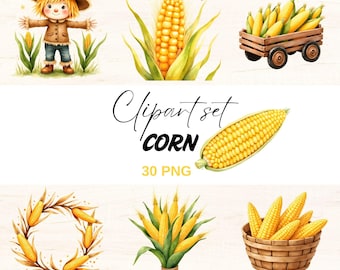 Watercolor Corn Clipart Set, Autumn Harvest PNG (Digital Download)