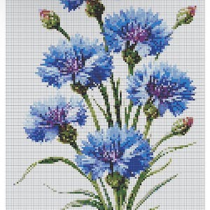 Elegant Cornflower Cross Stitch Pattern PDF
