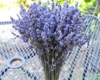 Dried Lavender (English) bundle / bunch - 8-10 inches