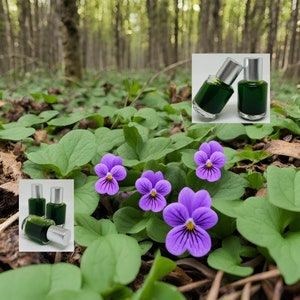 May include: Three small glass bottles with silver caps filled with a dark green liquid. The bottles are arranged in a row on a wooden surface. The bottles are surrounded by purple flowers and green leaves.