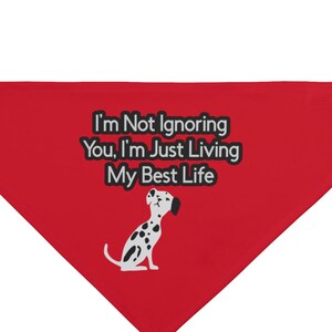Funny Pet Bandana for Dogs, Perfect Gift for Dog Lovers, Ideal for Birthdays, Dog Parties, and Everyday Wear, Cute Dog Accessories, Playful