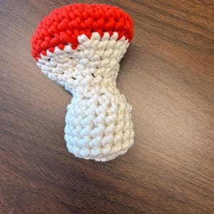May include: A handmade macrame mushroom featuring a vibrant red cap and a cream-colored stem. The piece is crafted from thick, knotted cord, showcasing a textured, woven pattern throughout the entire structure of the mushroom figure.