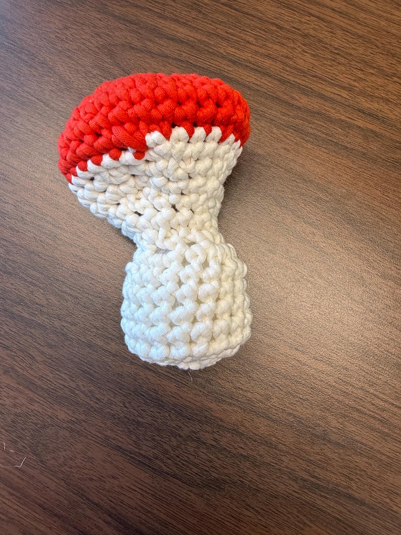 May include: A handmade macrame mushroom featuring a vibrant red cap and a cream-colored stem. The piece is crafted from thick, knotted cord, showcasing a textured, woven pattern throughout the entire structure of the mushroom figure.