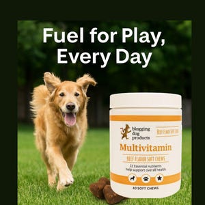 Dog Multivitamin Soft Chews – 22 Essential Nutrients for Daily Health, Joints & Immunity