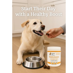 Dog Multivitamin Soft Chews – 22 Essential Nutrients for Daily Health, Joints & Immunity