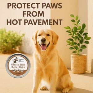 Dog Paw Balm for Hot Pavement - Natural Shea Butter Balm for Cracked Paws, Nose and Elbows - Paw Moisturizer & Protection - 2 oz Tin