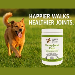 Hemp Joint Care Soft Chews for Dogs: Beef Flavor, Glucosamine, MSM
