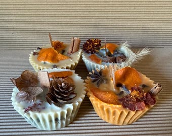 Handmade Fall Fire Starters | Natural Wax, Foraged Materials - Set of 4