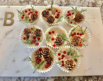 Handmade Winter Fire Starters | Natural Foraged Materials, Set of 4