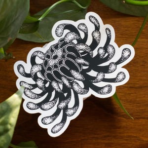 Chrysanthemum Flower Sticker With Free Peony Sticker Black and White Floral Gothic Art Waterbottle Decal Laptop Sticker