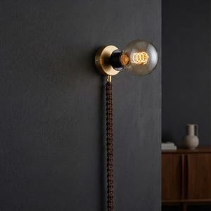 Könnte beinhalten: Eine Wandleuchte aus Messing mit einer runden, klaren Glühbirne. Die Leuchte hat ein dunkelbraunes, geflochtenes Kabel. Die Leuchte ist an einer dunkelgrauen Wand montiert. Ein Holzschrank und eine Vase befinden sich im Hintergrund.
