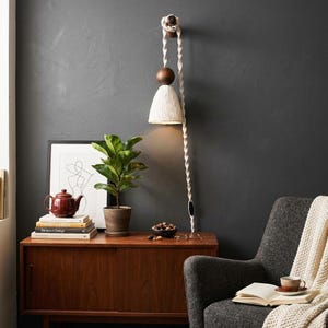May include: A wall-mounted lamp with a cream-colored shade and a wooden accent. The lamp hangs from a thick, twisted rope. The lamp is mounted on a dark gray wall, and the scene includes a wooden cabinet, a plant, and a framed artwork.