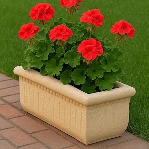 May include: A rectangular beige planter filled with vibrant red geraniums. The flowers are in full bloom, contrasting with the green foliage. The planter sits on a brick surface with a green grass background.