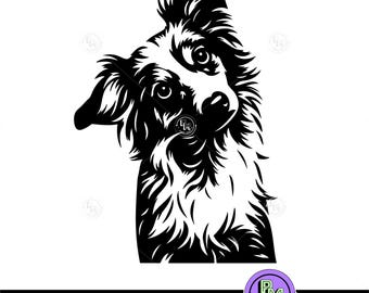 Border Collie SVG Hundeportrait, Aussie Shepherd Welpe Gesicht Cut-Datei, Hütehund Clipart, Hund Cricut Laser Gravur Design PNG DXF