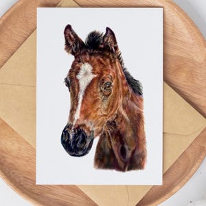Lot de cartes de voeux beaux-arts « Le petit roi » | Lots de 10 ou 20 | de cheval | Cartes de voeux poulain | Blanc à l'intérieur